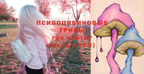 герыч Сафоново