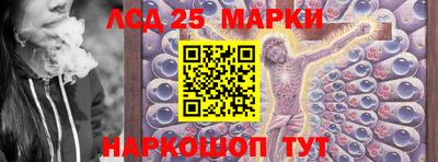 дмт Донской