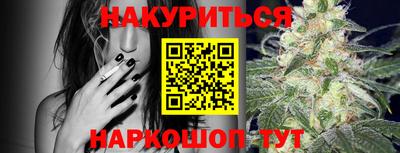 дмт Донской