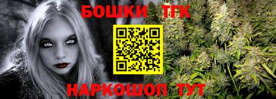 сатива Аргун