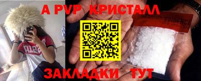 дмт Донской