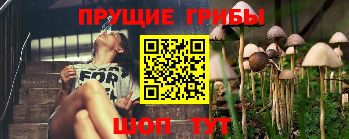 Урай  Псилоцибиновые грибы мицелий  Вход с VPN  Псилоцибиновые грибы ЛСД 