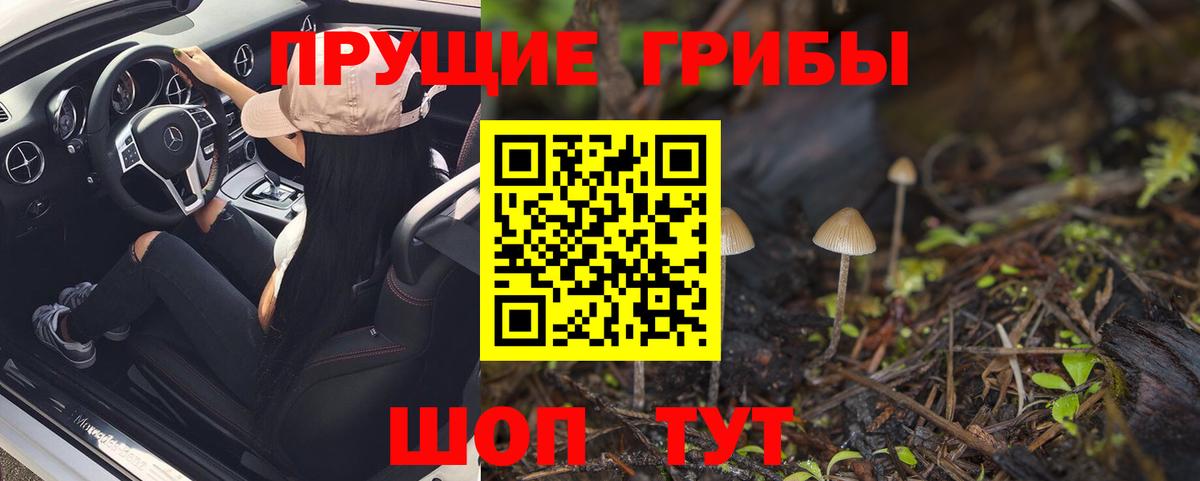 Псилоцибиновые грибы Psilocybine cubensis Урай